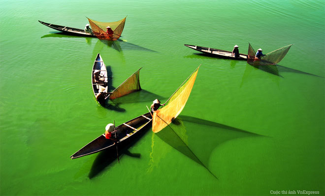 Ngắm[-]30[-]ảnh[-]Khoảnh[-]khắc[-]Cuộc[-]sống[-]đẹp[-]vào[-]chung[-]kết[-]Cuộc[-]thi[-]Ảnh[-]VnExpress